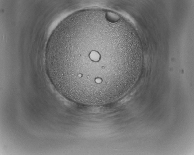 X0000060751279200511241654