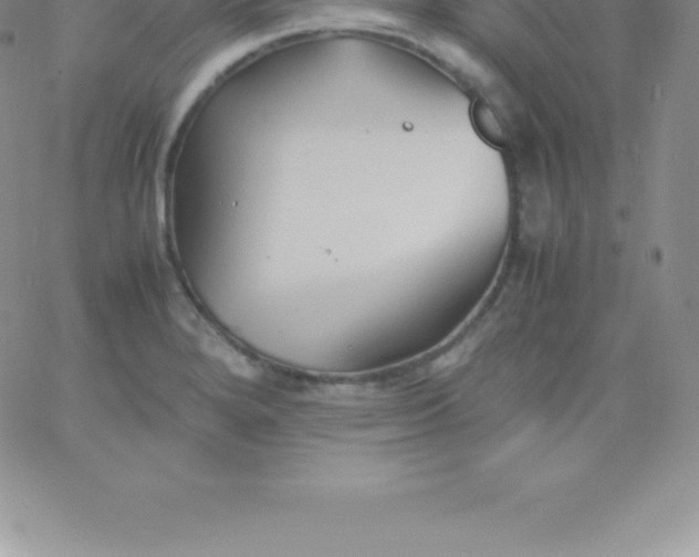 X0000060751280200511241654