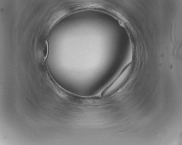 X0000060751281200511241654