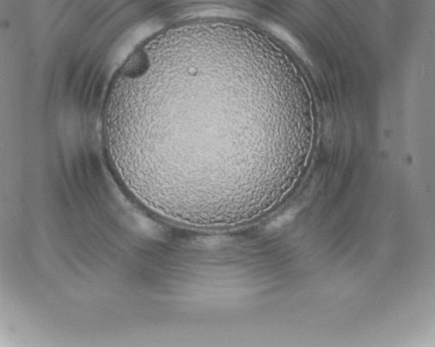 X0000060751282200511241654