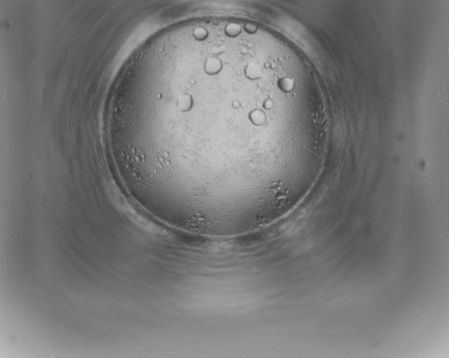 X0000060751283200511241654