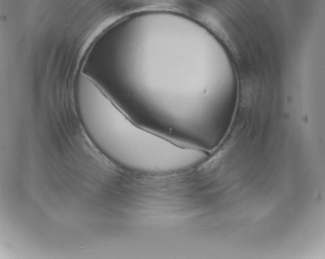 X0000060751284200511241654