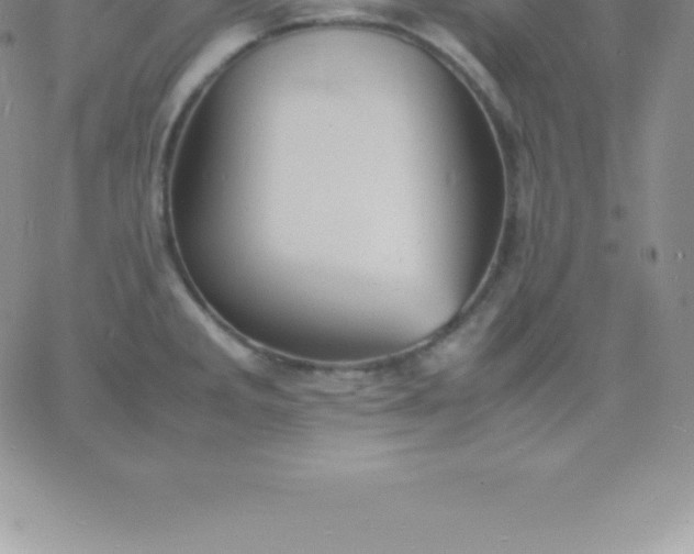 X0000060751285200511241654