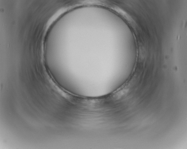 X0000060751286200511241654