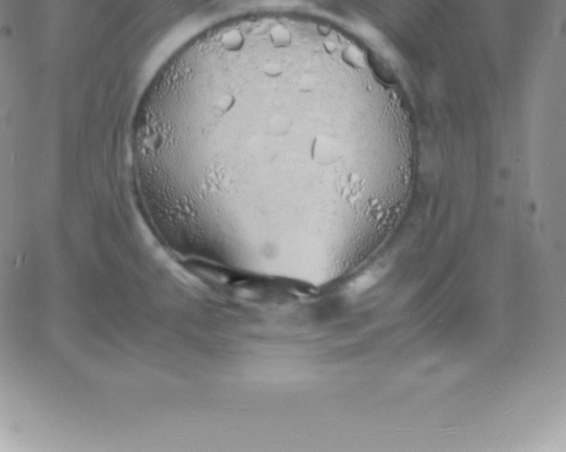 X0000060751287200511241654