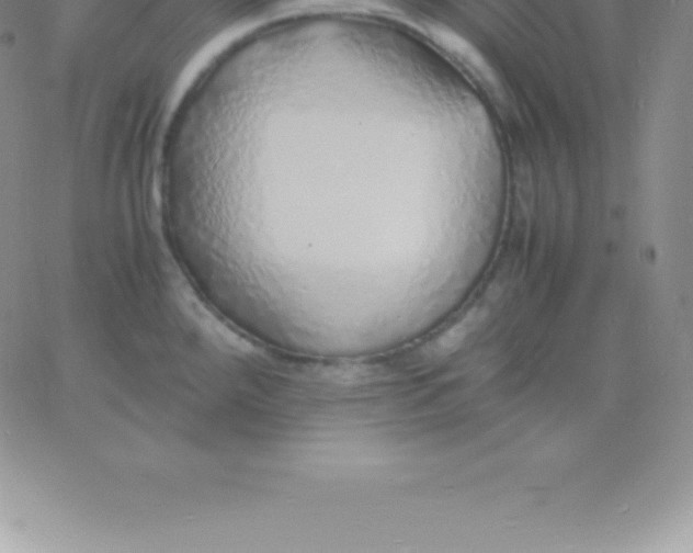 X0000060751288200511241654