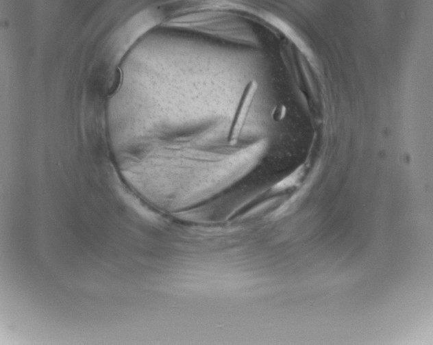 X0000060751289200511241654