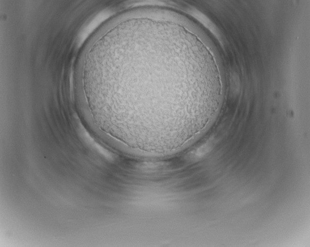 X0000060751290200511241654