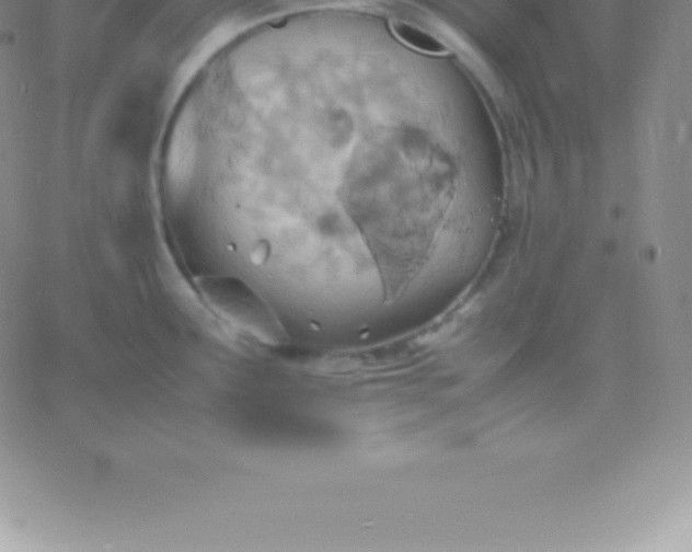 X0000060751291200511241654