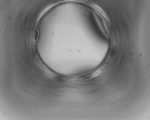 X0000060751292200511241654