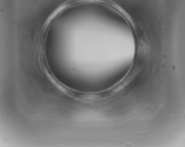 X0000060751293200511241654