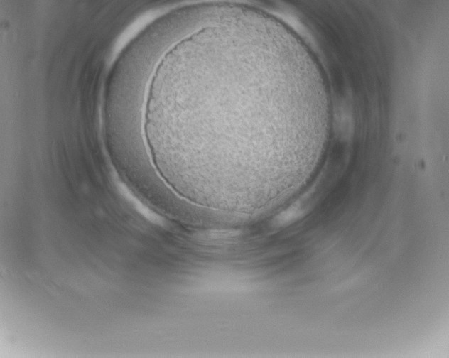 X0000060751294200511241654