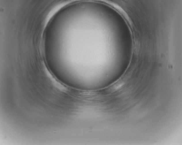 X0000060751295200511241654