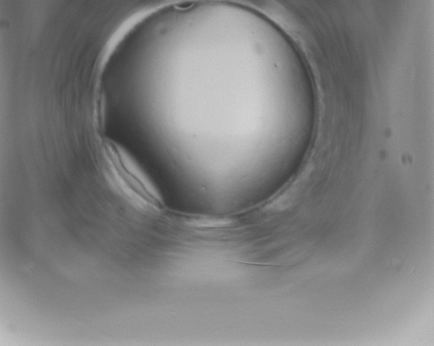 X0000060751296200511241654