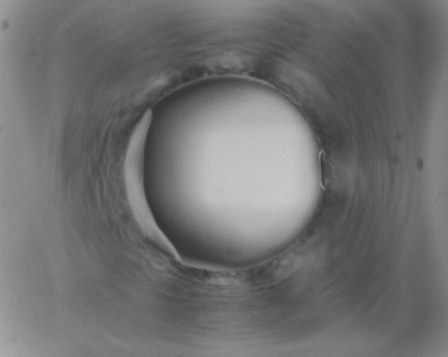 X0000060751297200511241653