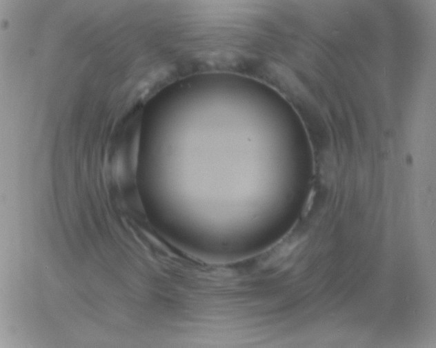 X0000060751298200511241653