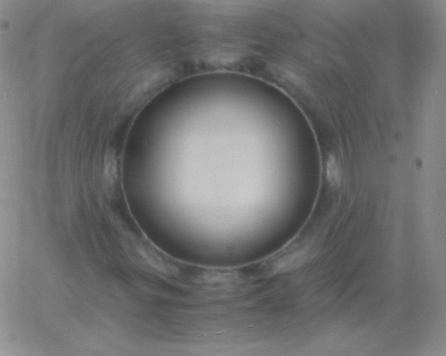 X0000060751299200511241653