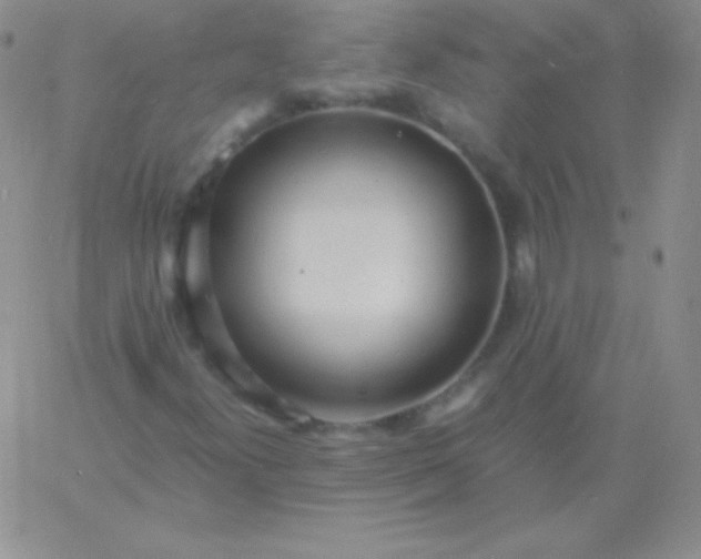 X0000060751300200511241653