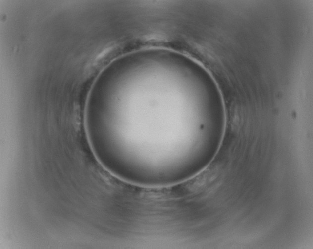 X0000060751301200511241653