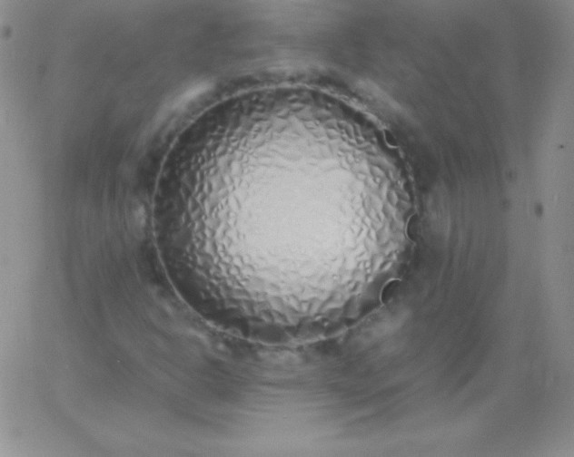 X0000060751302200511241653