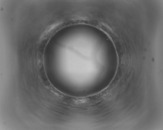 X0000060751303200511241653