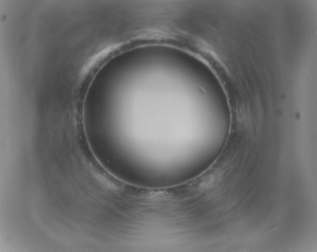 X0000060751304200511241653