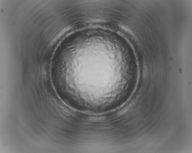 X0000060751305200511241653