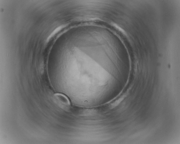 X0000060751306200511241653