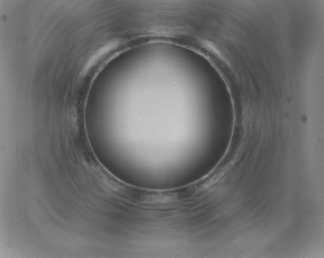 X0000060751307200511241653