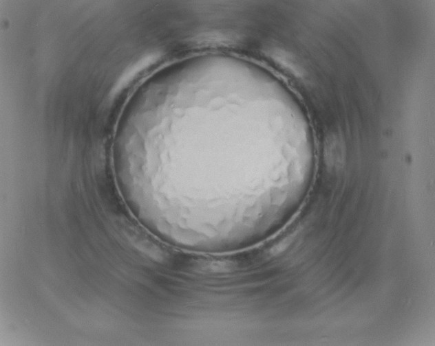 X0000060751309200511241653