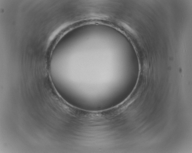 X0000060751310200511241653