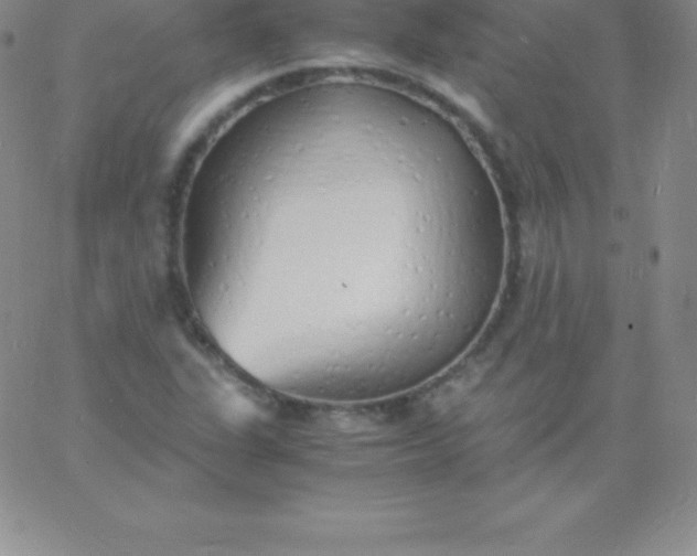 X0000060751311200511241653