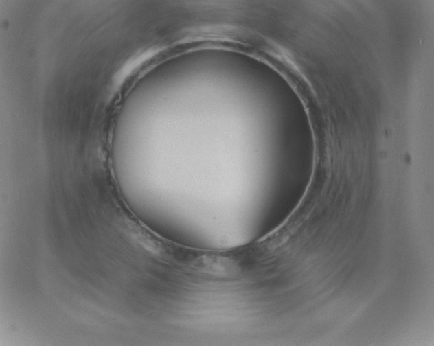 X0000060751312200511241653