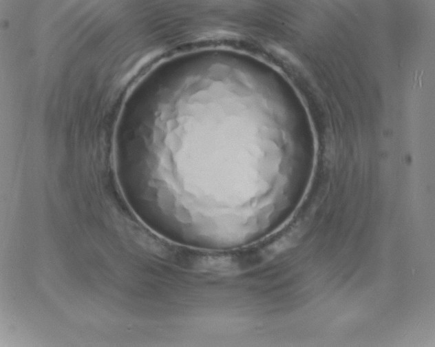 X0000060751313200511241653