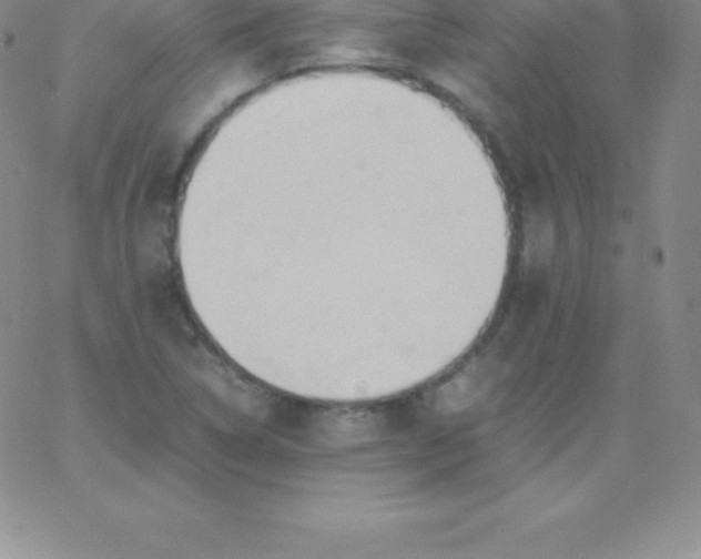 X0000060751314200511241653