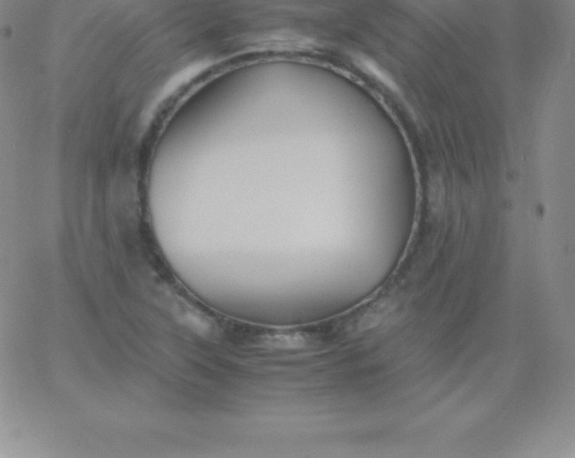 X0000060751315200511241653