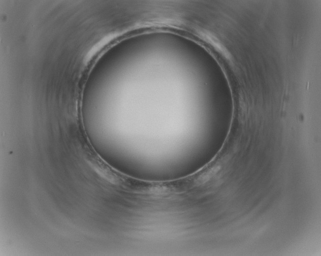 X0000060751316200511241653