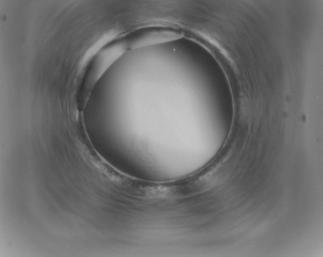 X0000060751317200511241653