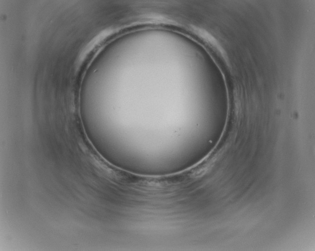 X0000060751318200511241653