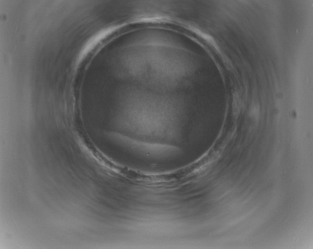 X0000060751319200511241653