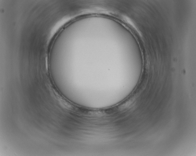 X0000060751320200511241653