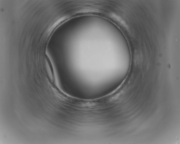 X0000060751321200511241653