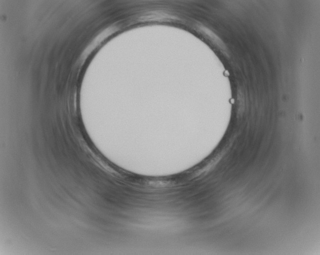 X0000060751322200511241653