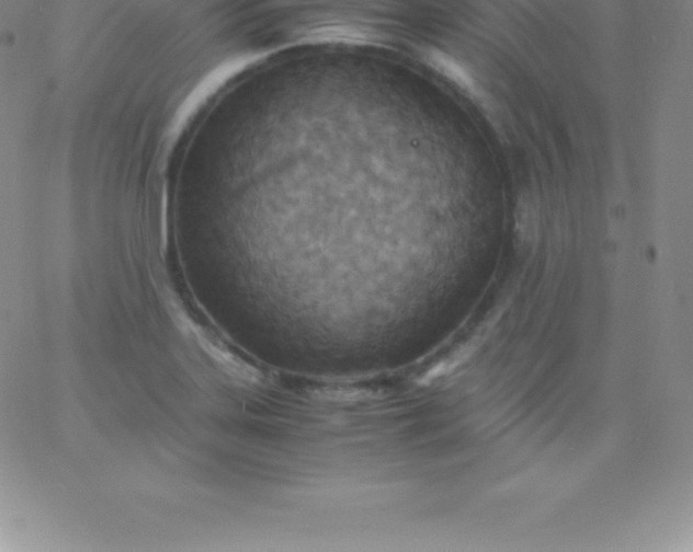 X0000060751323200511241653