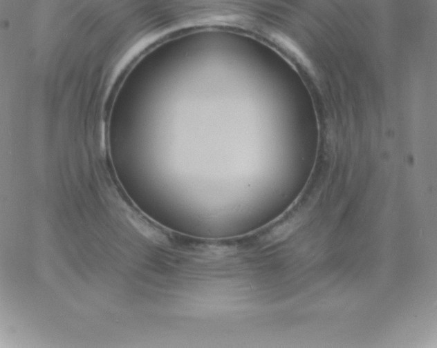 X0000060751324200511241653