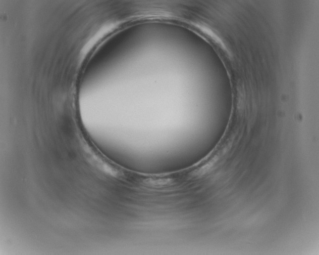 X0000060751325200511241653