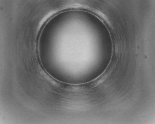 X0000060751326200511241653