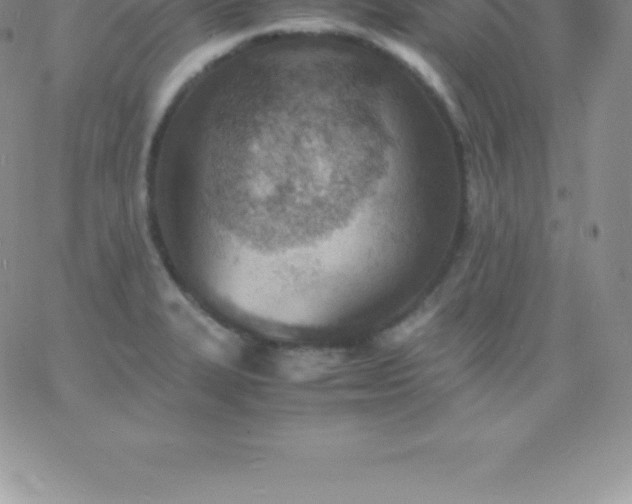 X0000060751327200511241653