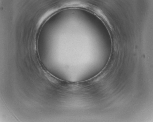 X0000060751328200511241653