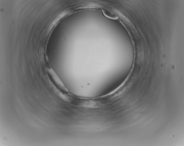 X0000060751329200511241653